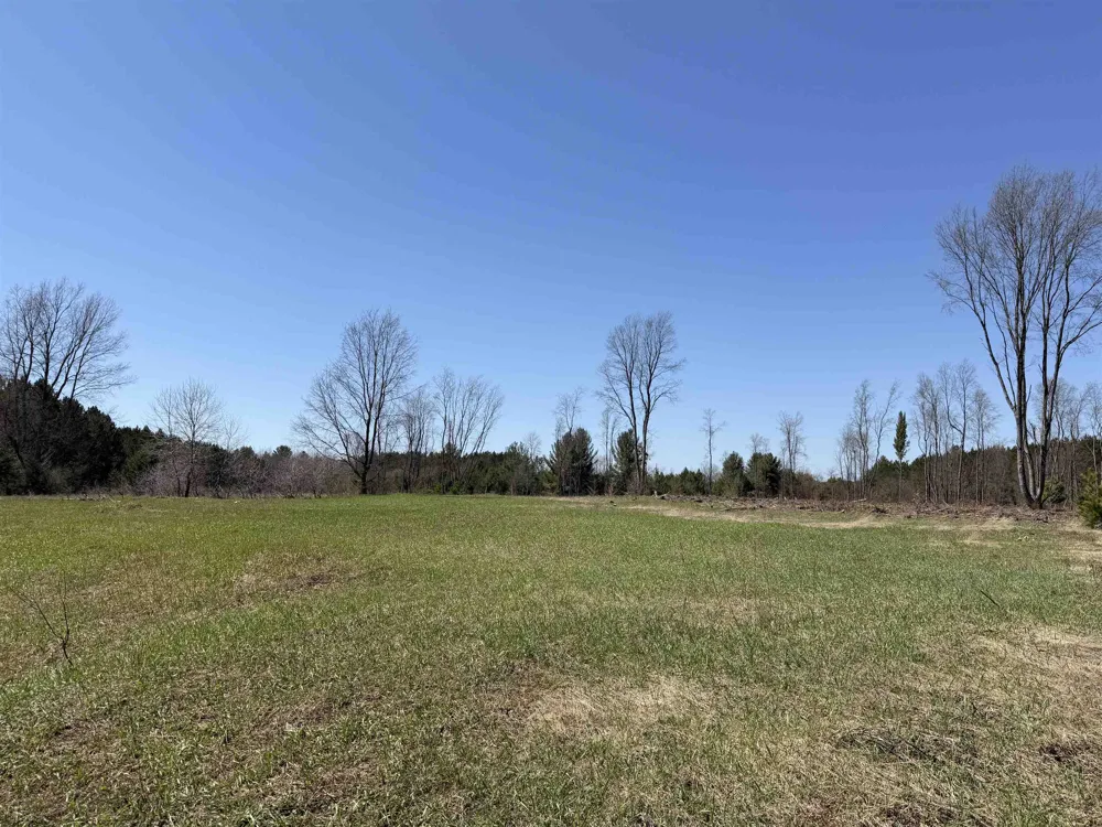 Landis Road Weldon Township, MI 49683