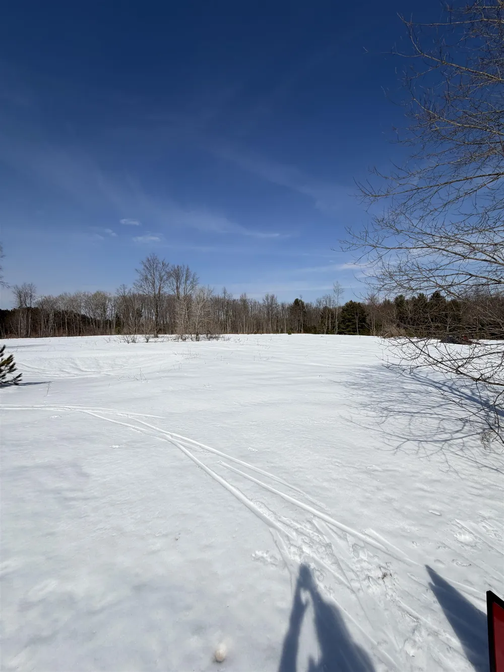 Landis Road Weldon Township, MI 49683
