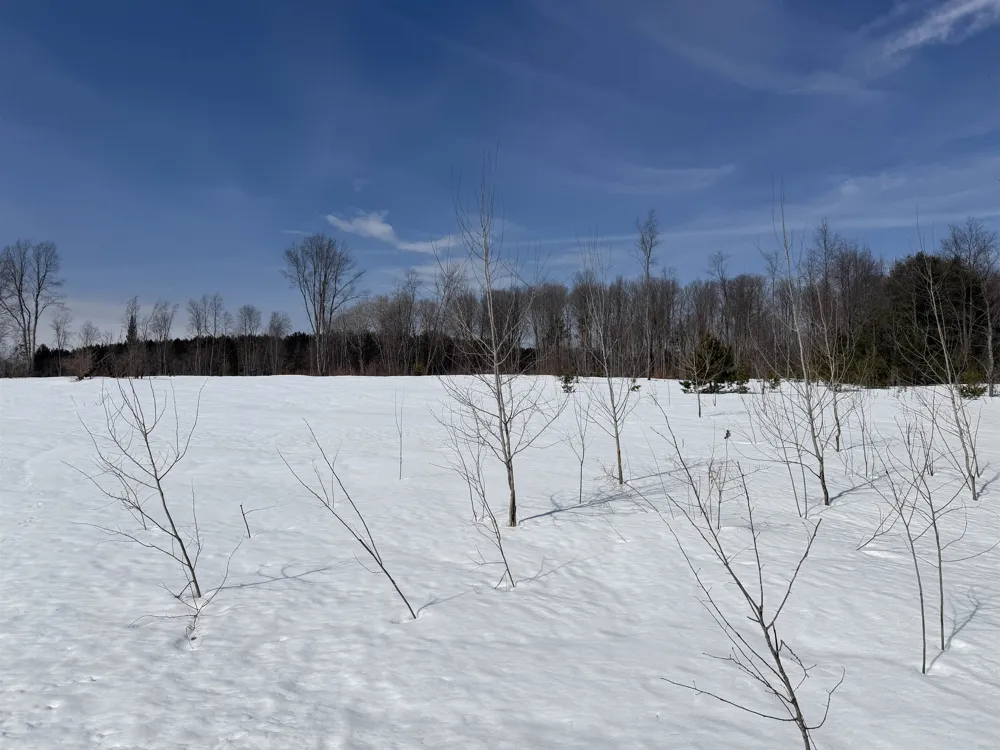 Landis Road Weldon Township, MI 49683