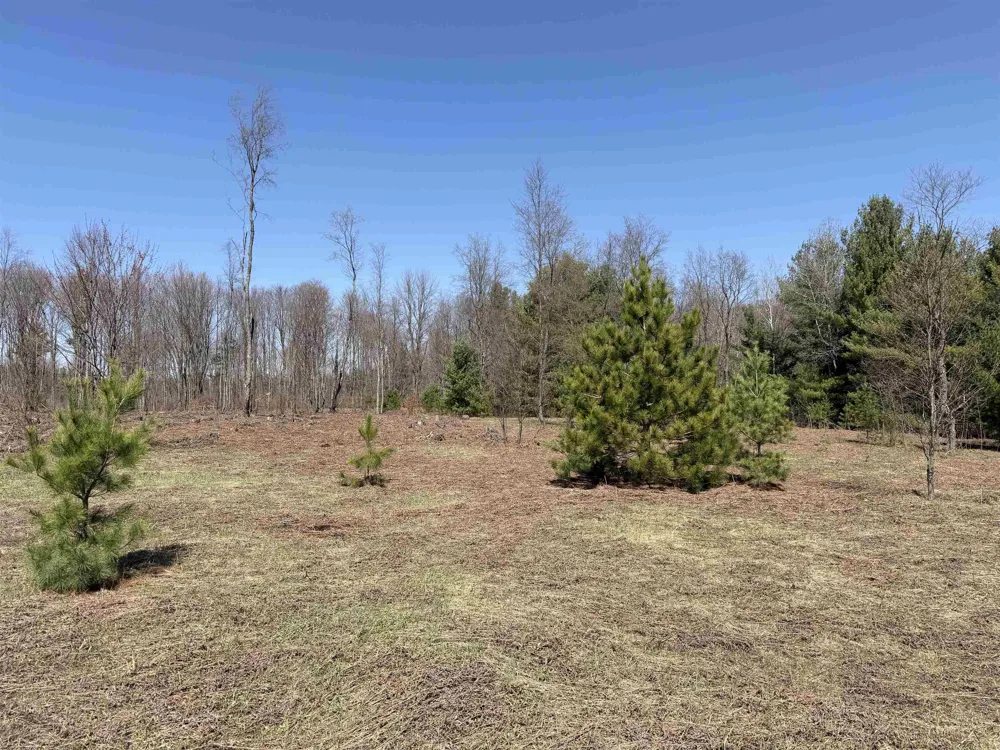 Landis Road Weldon Township, MI 49683