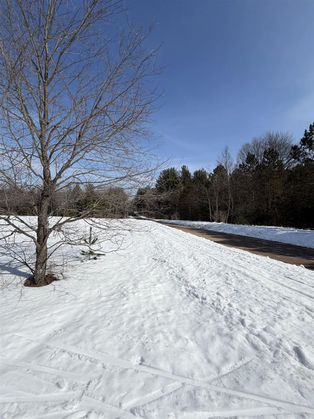 Landis Road Weldon Township, MI 49683