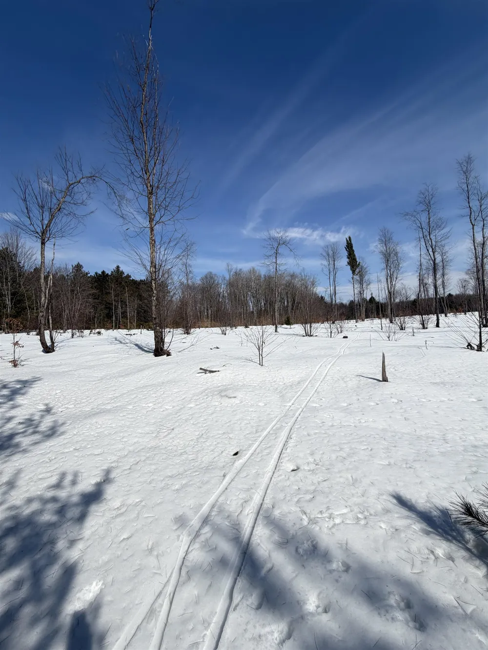 Landis Road Weldon Township, MI 49683