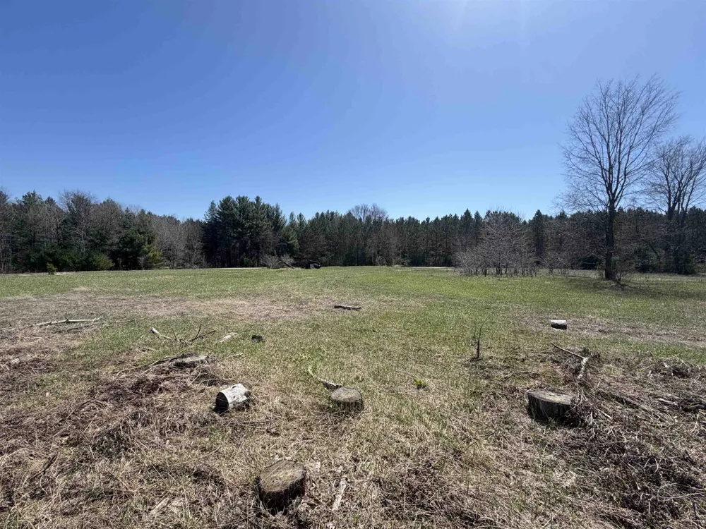 Landis Road Weldon Township, MI 49683