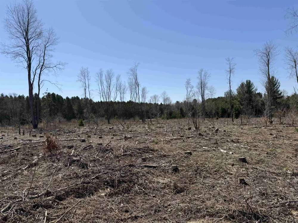 Landis Road Weldon Township, MI 49683