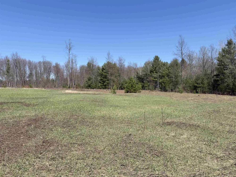 Landis Road Weldon Township, MI 49683