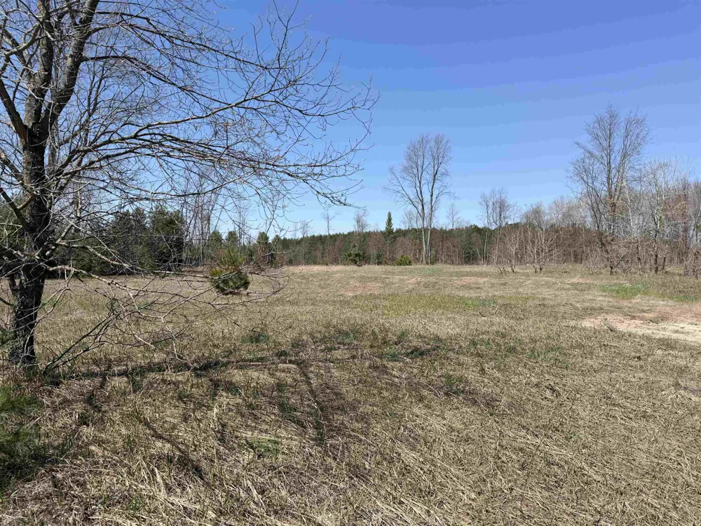 Landis Road Weldon Township, MI 49683