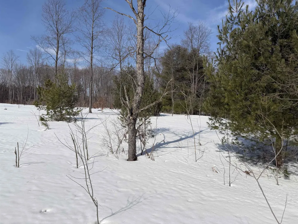 Landis Road Weldon Township, MI 49683