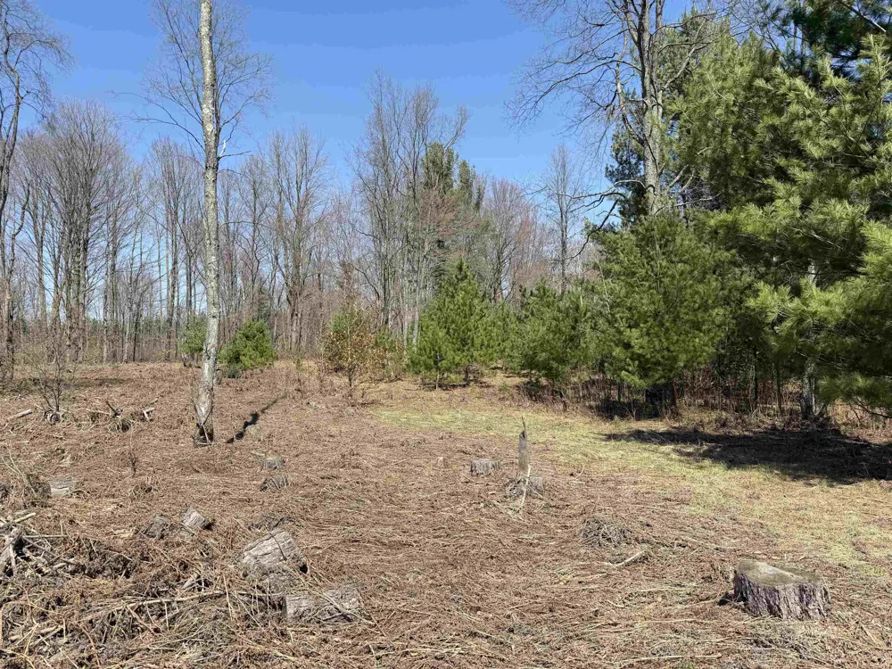 Landis Road Weldon Township, MI 49683