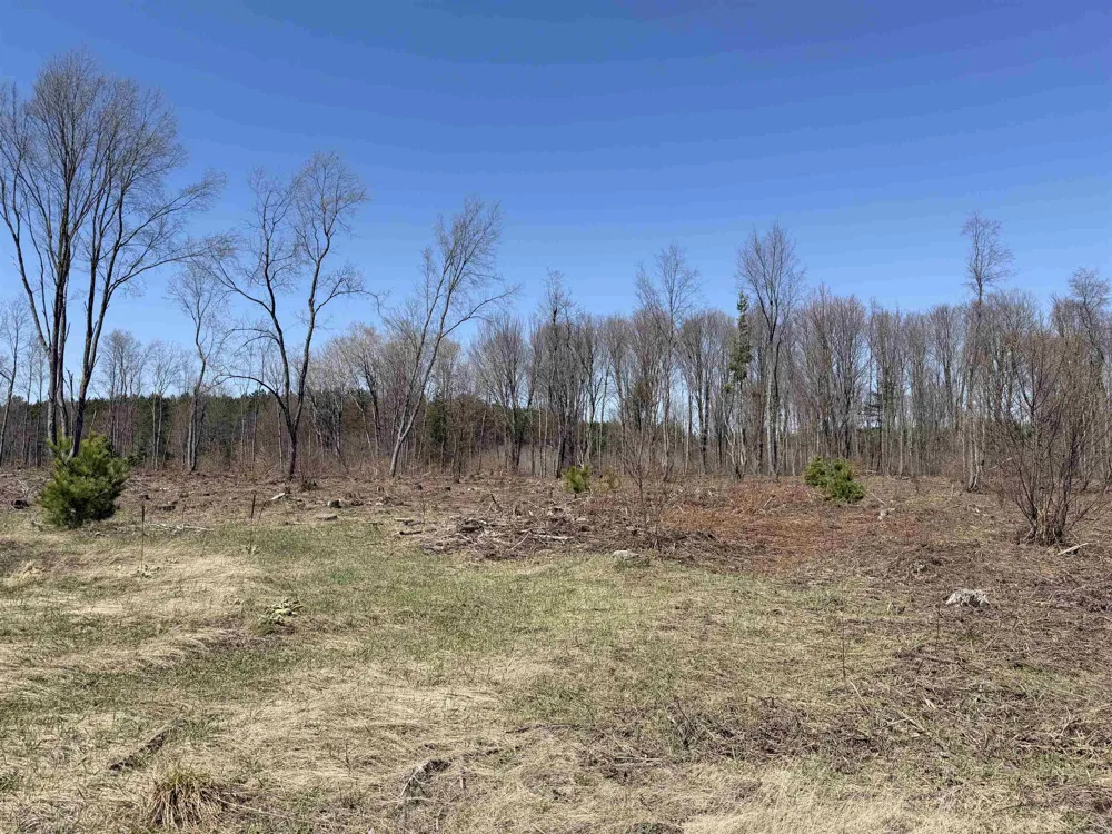 Landis Road Weldon Township, MI 49683
