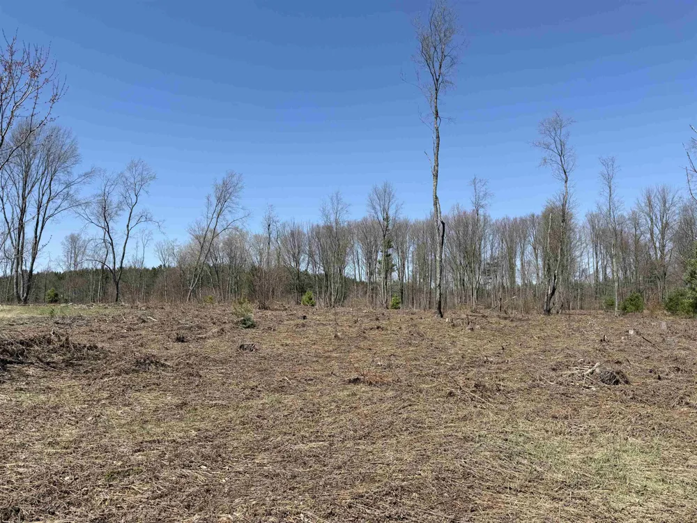 Landis Road Weldon Township, MI 49683