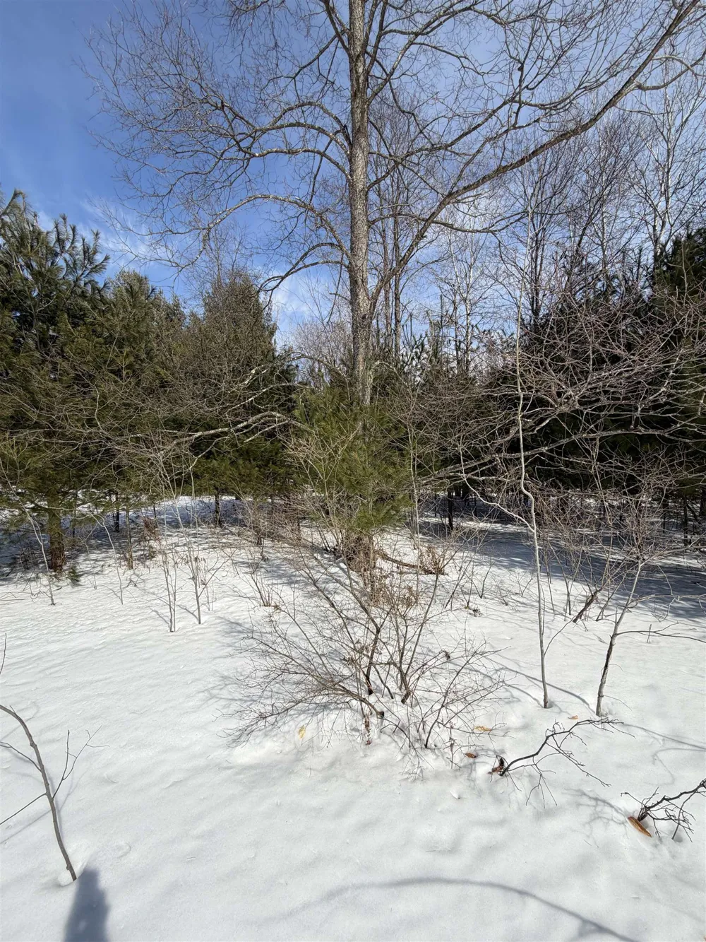 Landis Road Weldon Township, MI 49683