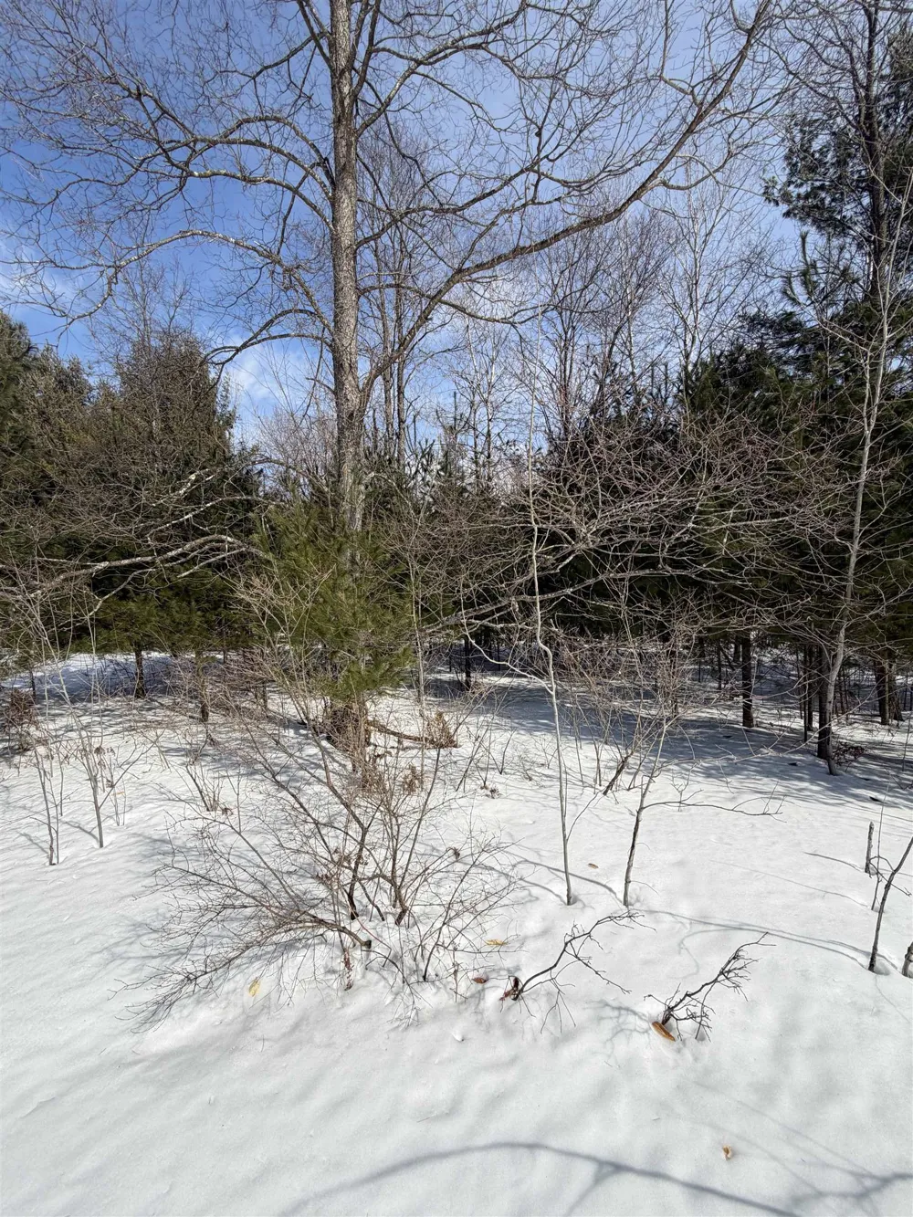 Landis Road Weldon Township, MI 49683