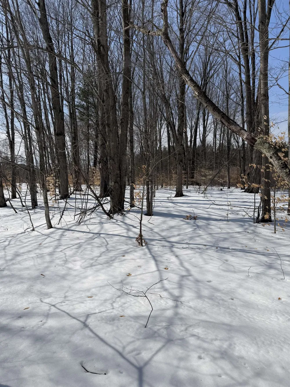 Landis Road Weldon Township, MI 49683