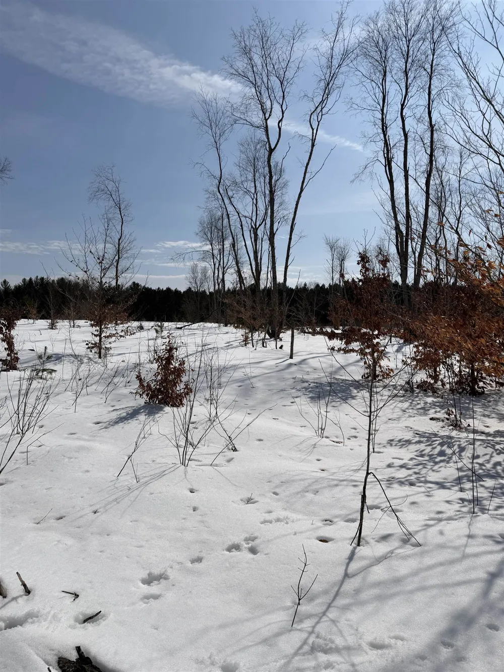 Landis Road Weldon Township, MI 49683