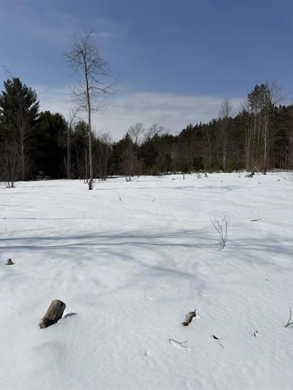 Landis Road Weldon Township, MI 49683