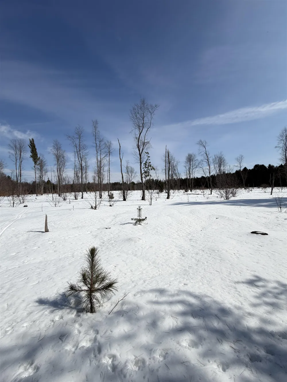 Landis Road Weldon Township, MI 49683