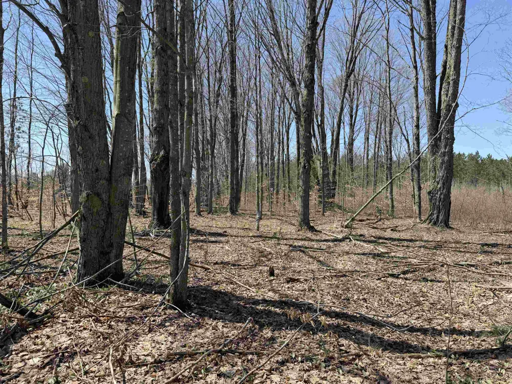 Landis Road Weldon Township, MI 49683