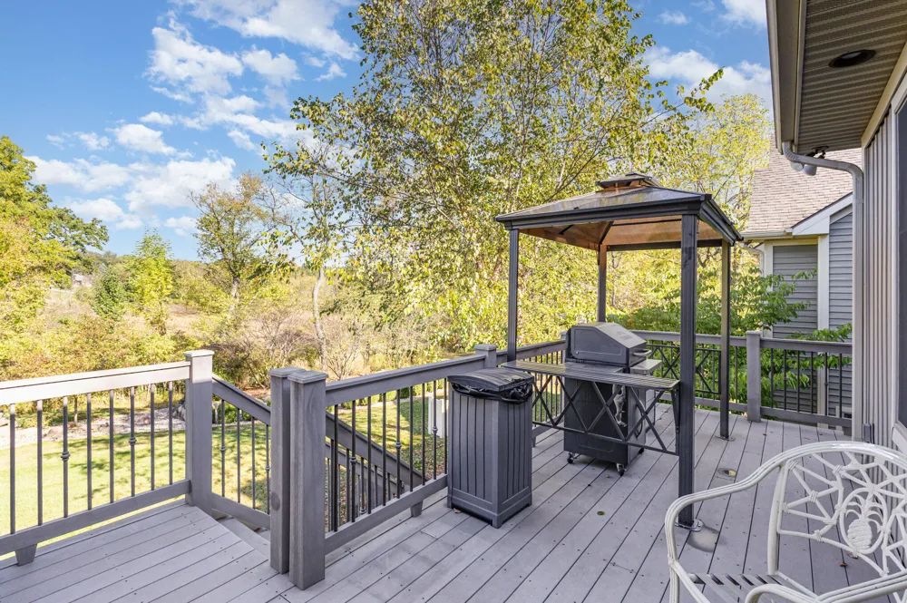 9733 Blue Heron Drive Hamlin Township, MI 48827