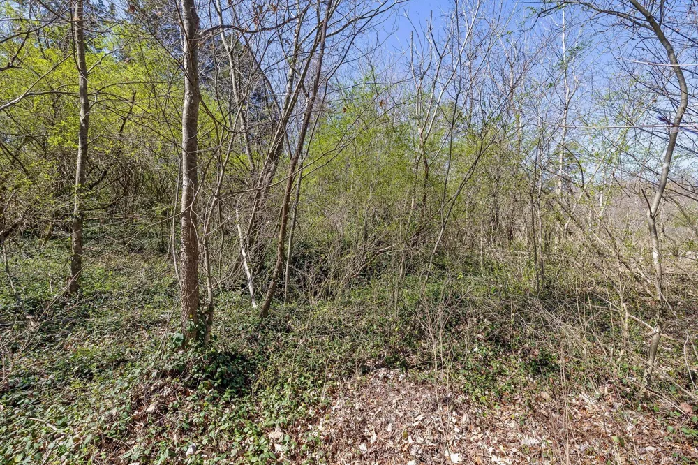 4971 Lillie Lane Ooltewah, TN 37363