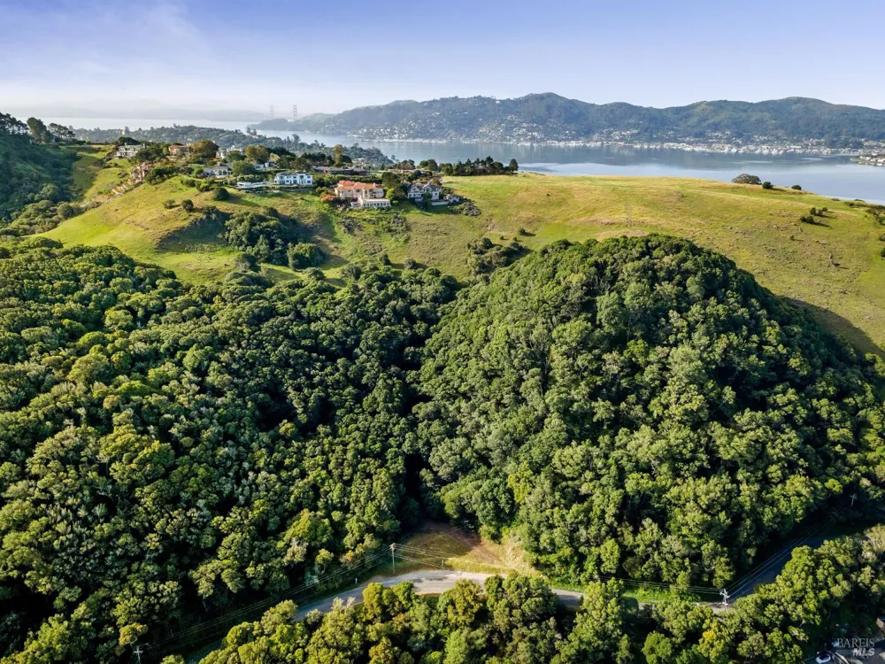 Paradise Drive Tiburon, CA 94920
