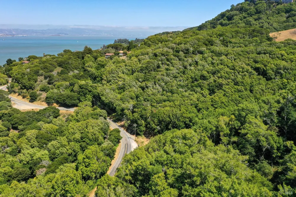 Paradise Drive Tiburon, CA 94920