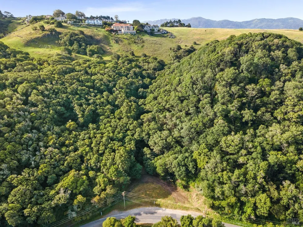 Paradise Drive Tiburon, CA 94920