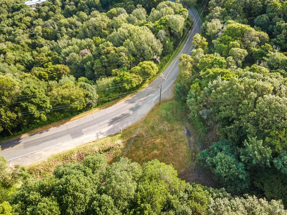 Paradise Drive Tiburon, CA 94920