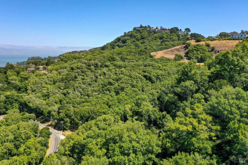 Paradise Drive Tiburon, CA 94920