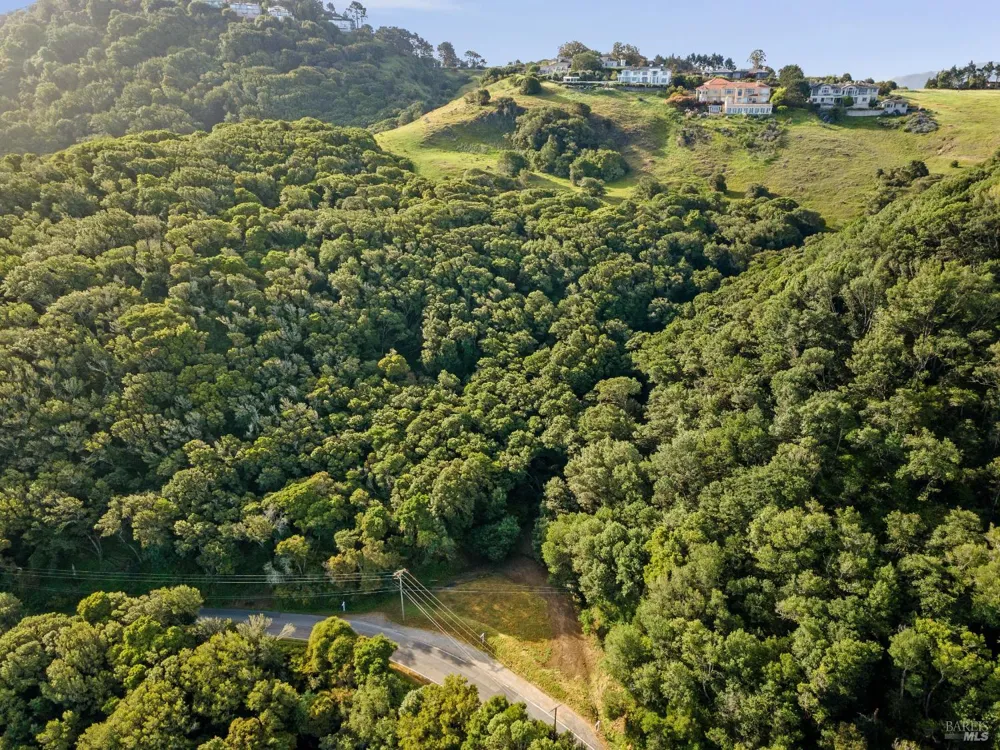 Paradise Drive Tiburon, CA 94920