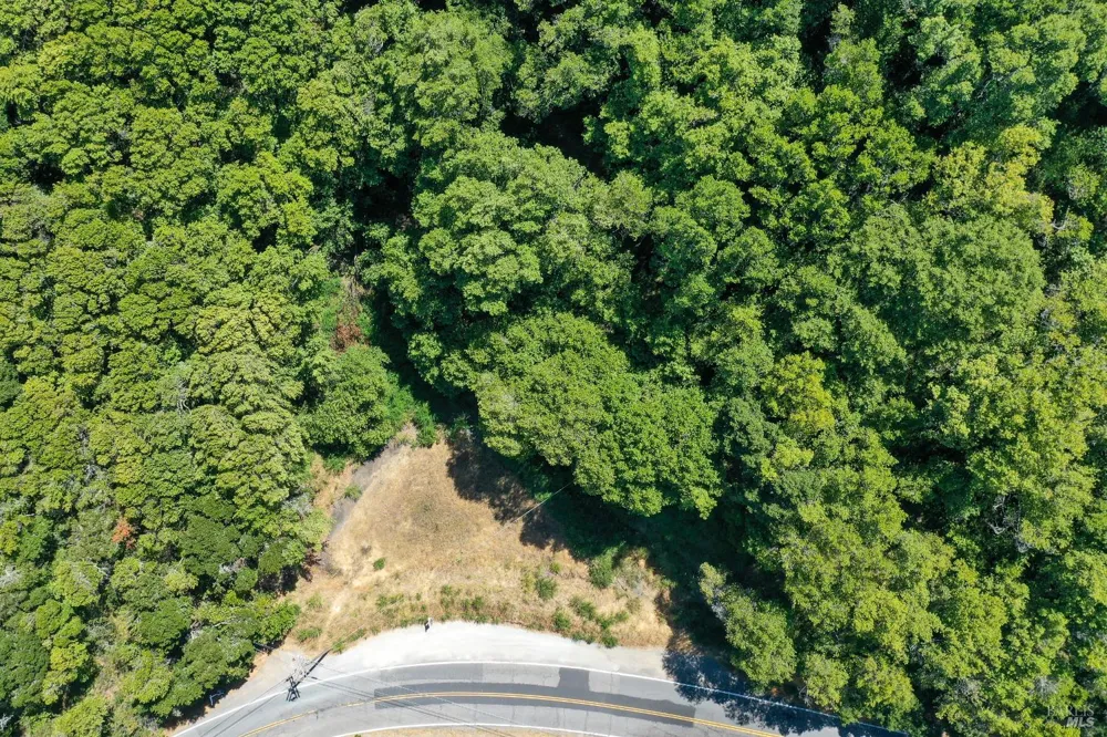 Paradise Drive Tiburon, CA 94920