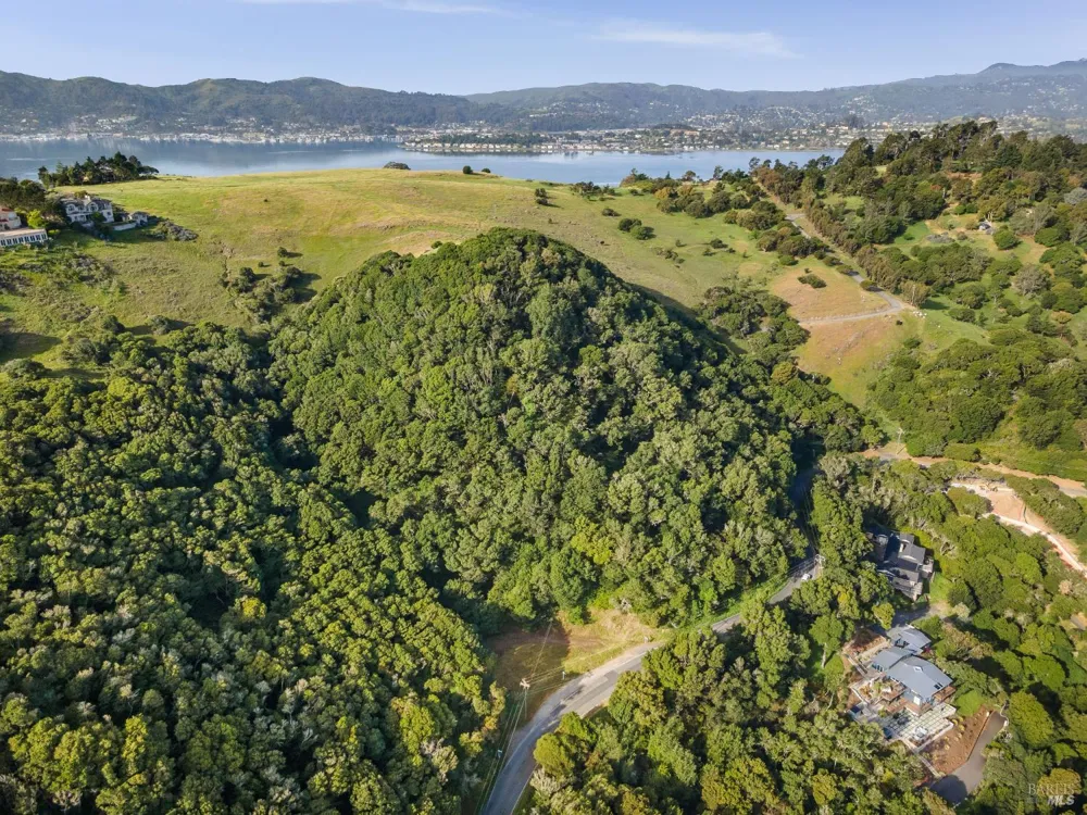 Paradise Drive Tiburon, CA 94920