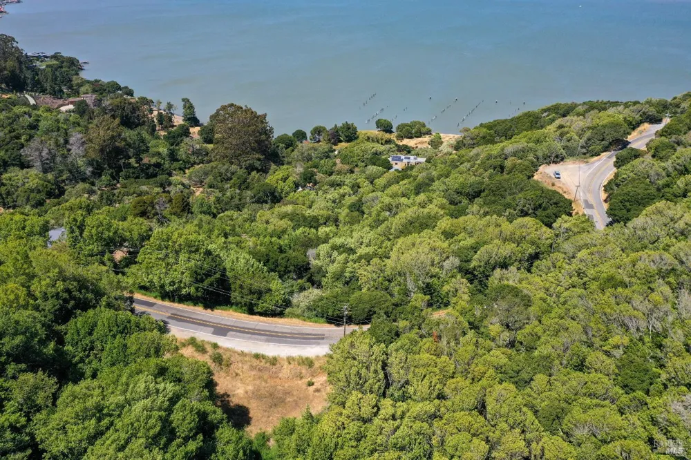 Paradise Drive Tiburon, CA 94920