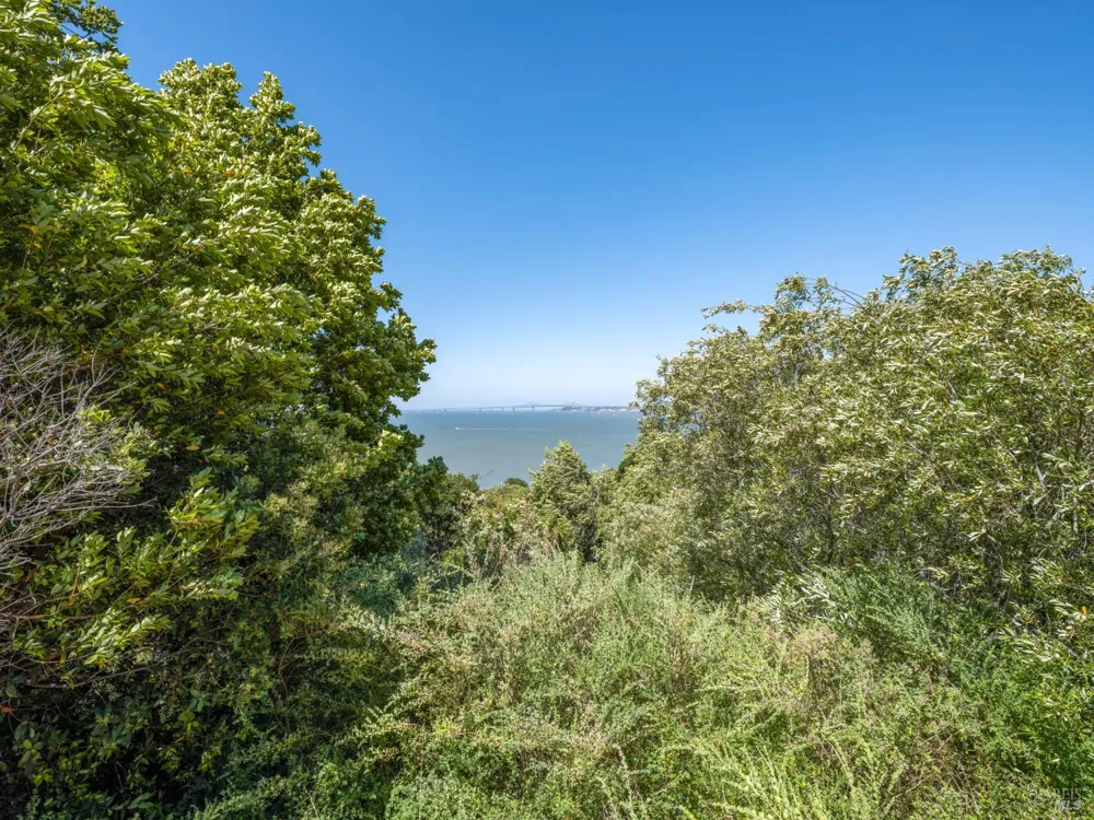 Paradise Drive Tiburon, CA 94920