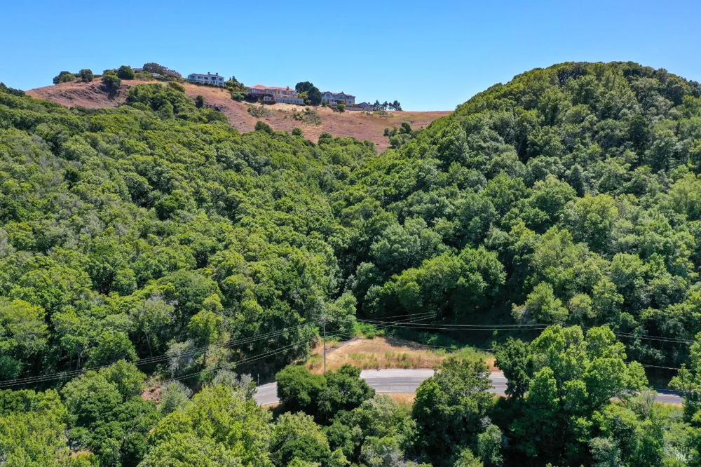 Paradise Drive Tiburon, CA 94920