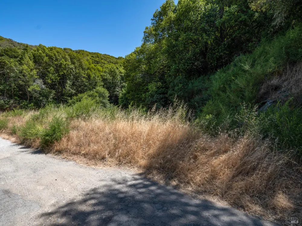 Paradise Drive Tiburon, CA 94920