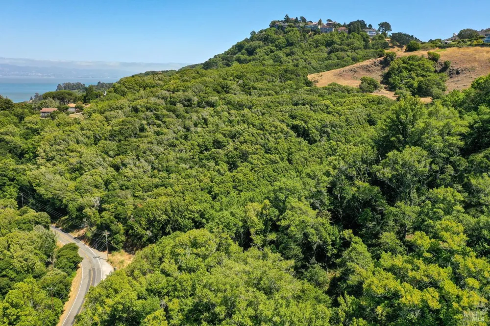 Paradise Drive Tiburon, CA 94920