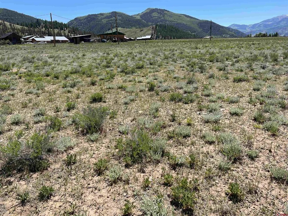 110 Bluff Drive Creede, CO 81130