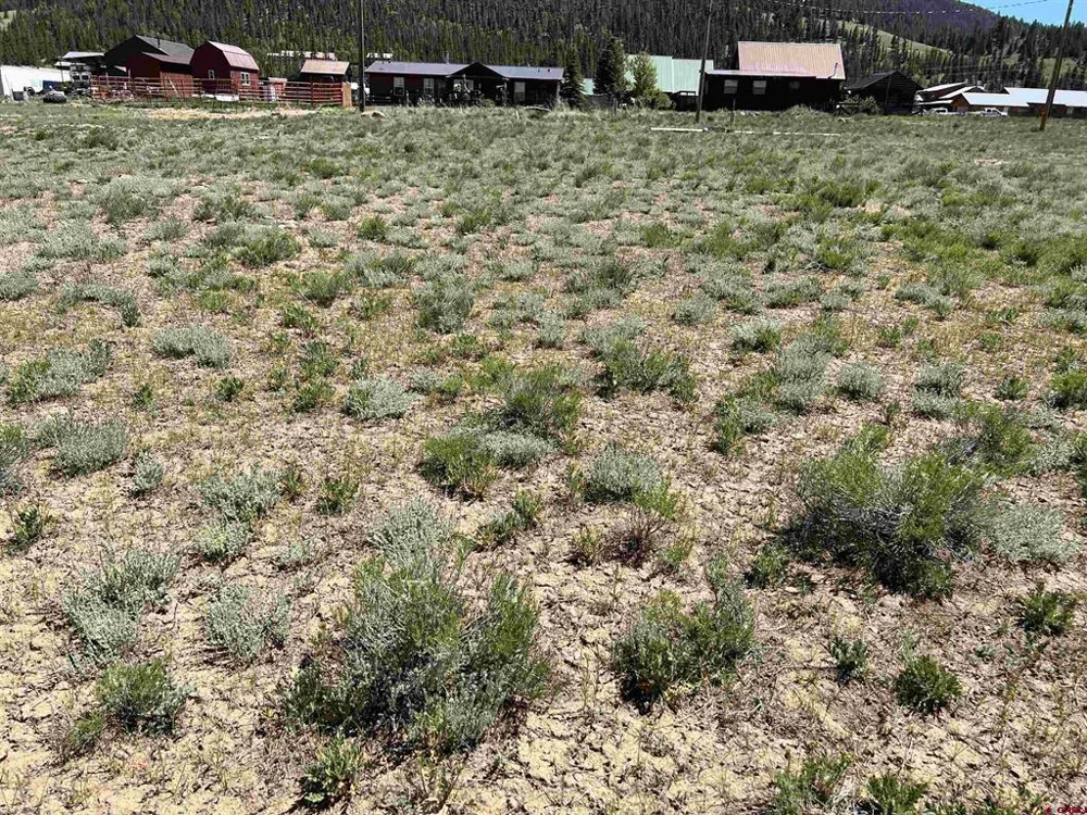 110 Bluff Drive Creede, CO 81130