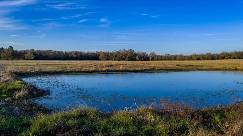 1728 Cr 384 Marquez, TX 77865