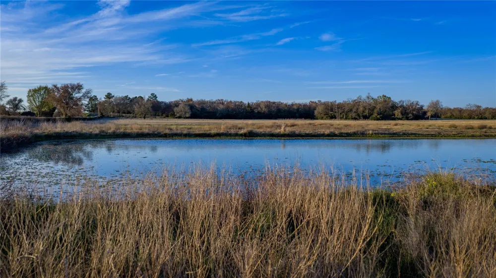 1728 Cr 384 Marquez, TX 77865