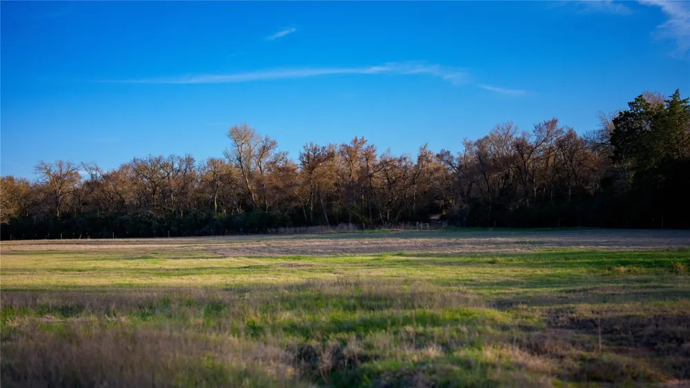 1728 Cr 384 Marquez, TX 77865