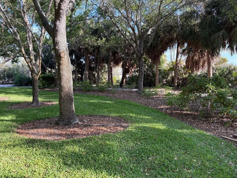 1819 SHORE DRIVE S #318 South Pasadena, FL 33707