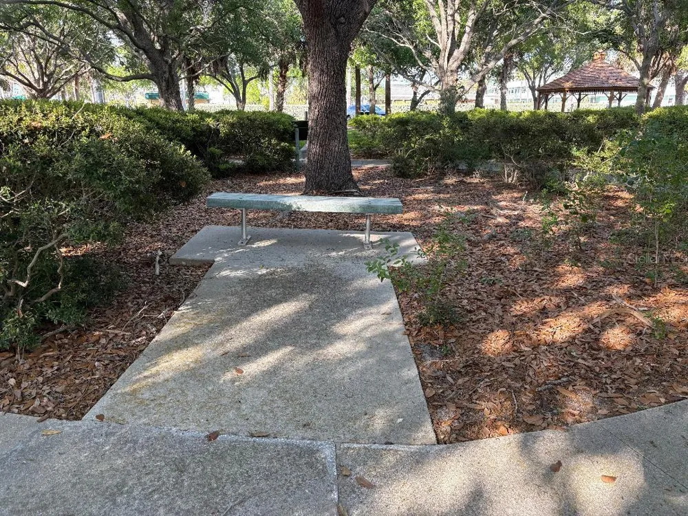 1819 SHORE DRIVE S #318 South Pasadena, FL 33707