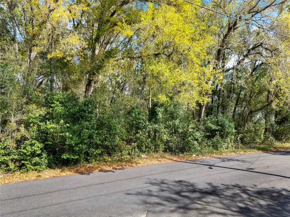 709 S SMITH AVENUE Inverness, FL 34453