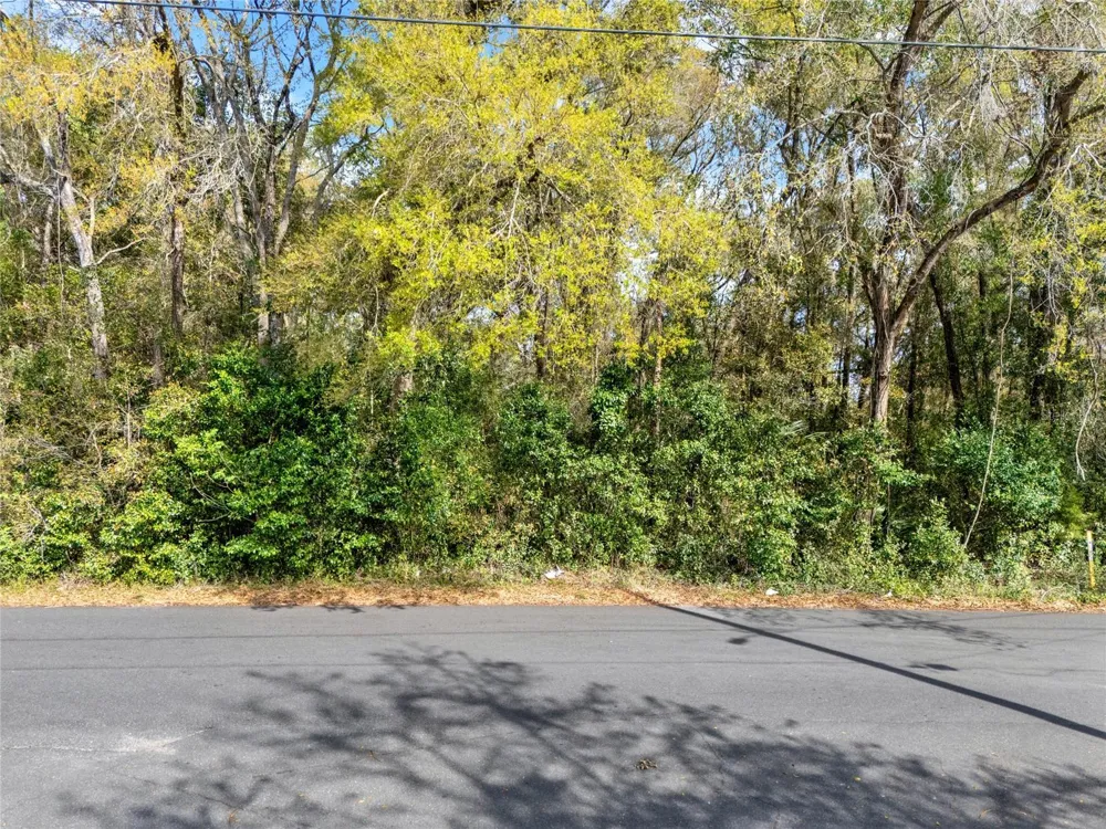 709 S SMITH AVENUE Inverness, FL 34453