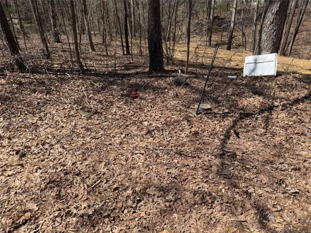 LOT38 Killdeer Lane Monticello, GA 31064