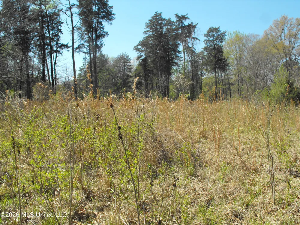 000 Berry Drive Florence, MS 39073