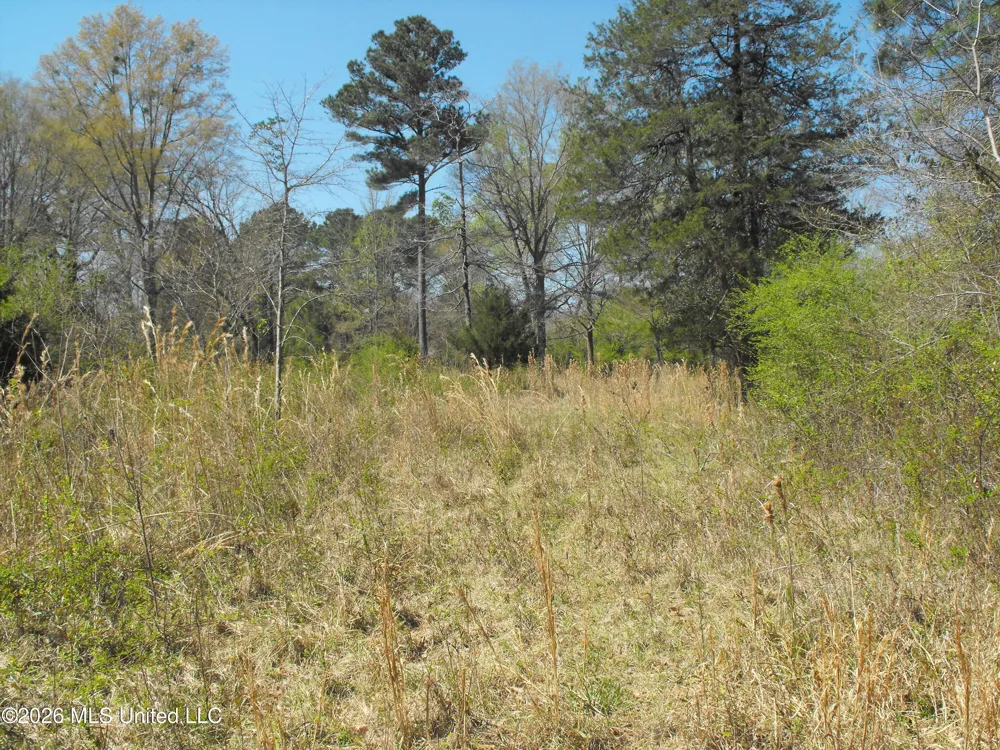 000 Berry Drive Florence, MS 39073