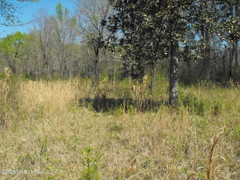 000 Berry Drive Florence, MS 39073