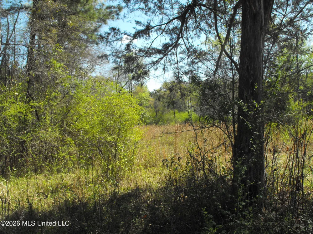 000 Berry Drive Florence, MS 39073